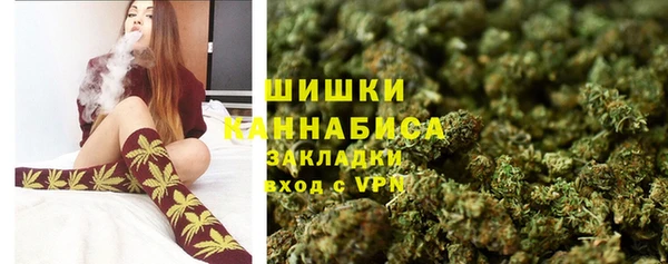 амф Осинники
