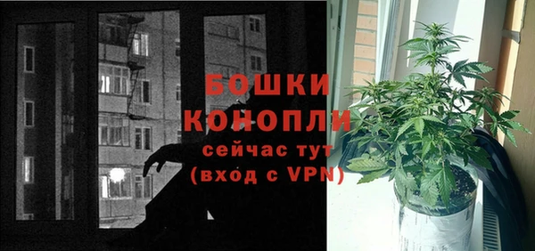 амф Осинники
