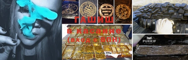крисы Дегтярск