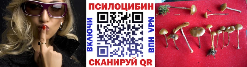 кракен   Нижняя Салда  Псилоцибиновые грибы ЛСД 